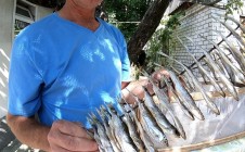 Фото рыбалки в Золотоноша 10