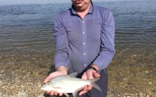 Фото рыбалки в Долгий, Икрянинский район 4