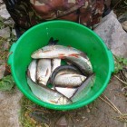 Фото рыбалки в Окунь, Судак 4