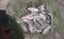 Фото рыбалки в Шмаевка 4