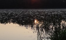 Фото рыбалки в городской округ Салават 1