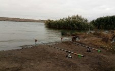 Фото рыбалки в Александровка, Старобешевский район 0