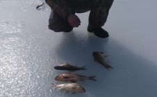 Фото рыбалки в Миусинск 4