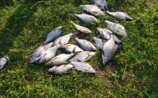 Фото рыбалки в Кимрский муниципальный округ 2
