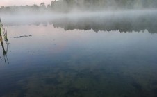 Фото рыбалки в Дружба, городской округ Электросталь 7