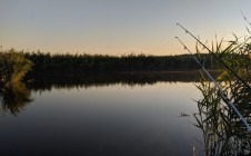 Фото рыбалки в Огородный 2