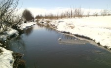 Фото рыбалки в Александровский район 0