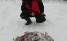 Фото рыбалки в Кировская область 10