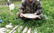 Фото рыбалки в Гаринский городской округ 8