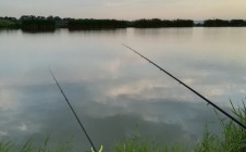 Фото рыбалки в Приозёрный, Шпаковский район 5