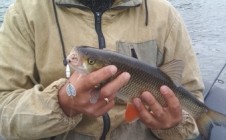 Фото рыбалки в Чандар 1