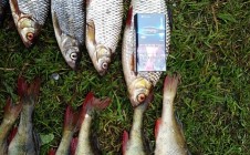 Фото рыбалки в Кошкино, Всеволожский район 5