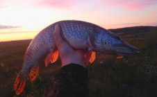 Фото рыбалки в Талицкий городской округ 3