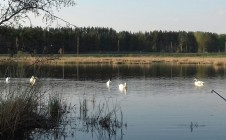 Фото рыбалки в Дюртюлинский район 10