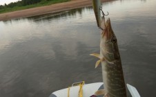 Фото рыбалки в Кировская область 2