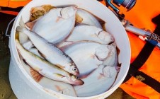 Фото рыбалки в Северодвинск 10