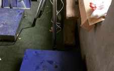 Фото рыбалки в Липки, Одинцовский городской округ 3