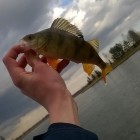 Фото рыбалки в Броницьке озеро 3