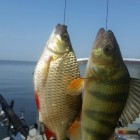 Фото рыбалки в Карась 4