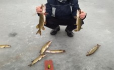 Фото рыбалки в Ренийский район 9
