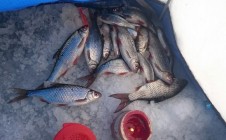 Фото рыбалки в Кивгода 6