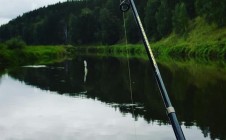 Фото рыбалки в Сысертский городской округ 8