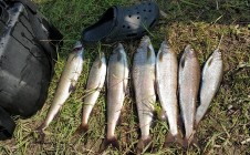Фото рыбалки в Богучанский район 9