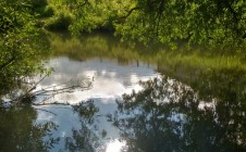 Фото рыбалки в городской округ Домодедово 4