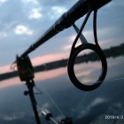 Фото рыбалки в Голавль 1