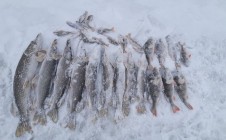 Фото рыбалки в Волжский район 10