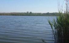 Фото рыбалки в Ольховский, Тимашевский муниципальный район 5