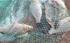 Фото рыбалки в Аткуль, Еткульский район 4