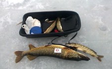 Фото рыбалки в Городокский район 4