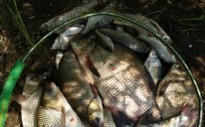 Фото рыбалки в Ачаирский 4