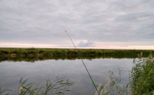 Фото рыбалки в Чулым, Здвинский район 5