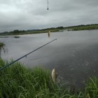 Фото рыбалки в Окунь, Судак 4
