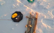 Фото рыбалки в Польное 8