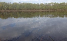 Фото рыбалки в Ильина Гора 8