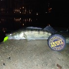 Фото рыбалки в Лещ 3
