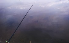 Фото рыбалки в Устиново, Советский район 7