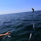 Фото рыбалки в Карась 5