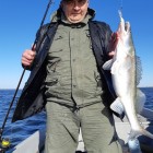 Фото рыбалки в Амур Белый, Окунь, Сазан, Сом, Судак 0