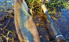 Фото рыбалки в Белогорский район 9