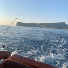 Фото рыбалки в Дорада 8