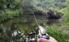 Фото рыбалки в городской округ Домодедово 5