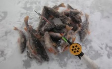 Фото рыбалки в Котельничский район 1