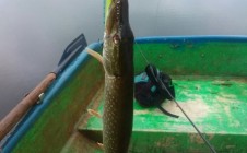 Фото рыбалки в Якшур-Бодьинский район 10