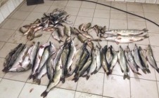 Фото рыбалки в Казахстан, Жаксынский район 8
