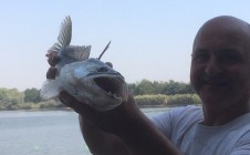 Фото рыбалки в Первомайский, Абинский район 1