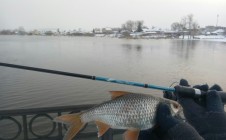 Фото рыбалки в Арамильский городской округ 5